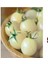 10 Adet Saksılık Beyaz Cherry Domates Tohumu 1