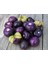 10 Adet Purple Domates Tohumu 1