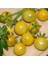 White Currant Domates Tohumu 1