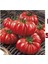10 Adet Italyan Domates Tohumu 1