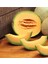 10 Adet Cantalupo Kavun Tohumu 1