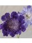 10 Adet Fama Deep Blue Scabiosa Tohumu 1