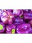 40 Adet Sweet Lilac Bell Dolmalık Biber Tohumu 1