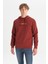 Pamuklu Regular Fit Normal Kesim Kapüşonlu Logo Detaylı Sweatshirt 1