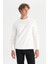 Pamuklu Regular Fit Normal Kesim Bisiklet Yaka Sweatshirt 1