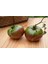 20 Adet Black Master Heirloom Premium Domates Tohumu 1