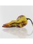 10 Adet Dark Olive Naga Brain Biber Tohumu 1