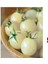 20 Adet Saksılık Beyaz Cherry Domates Tohumu 1