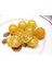 20 Adet Yellow Canary Micro Dwarf Domates Tohumu 1
