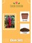 Red Burgundy Bamya Tohumu Ekim Seti 1