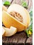 Kokulu Ananas Kavun Tohumu / 5+ Adet Tohum 1