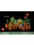 ® Botanicals Minik Bitkiler 10329 - Yetişkinler için Dekoratif, Sergilenebilir Yaratıcı Çiçek Model Yapım Seti (758 Parça) 2