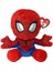 Spiderman Floopy Reg 1