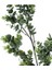 Branch Yeşil Dal Çiçek 74CM 2