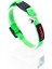 Cat Color Easy & Safety Lock Amazon Ayarlanır Kedi Boyun Tasması 4
