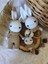 Amigurumi Minik Tavşan Set Örgü Oyuncak 1