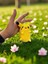Pikachu Figürlü Peluş Anahtarlık 10-12 cm 4