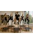 135 cm ''(54 Inç) Tutmalı Step Trambolin 5