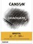 Gradute Brıstol A5 180GR 20 Yaprak 2