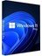 Windows 11 Pro Dijital Lisans Key Ömür Boyu Kullanım 2