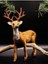 Yılbaşı Dekoratif 25 cm Geyik Süs Rudolf 1