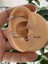 Zirkon Taşlı 1 Adet Tragus Helix Lobe Conch Flat Uyumlu Piercing Küpe 4