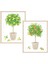 Citrus Topiaries Assorted Embossed Boxed Note Cards 10 Note Cards & 10 Envelopes 1