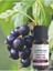 Siyah Frenk Üzümü Çekirdeği Yağı 10 ml %100 Doğal Omega 6 Yağı 5