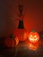 Balkabağı Dekoru – Halloween Temalı Cadılar Bayramı - 3D Baskı 5