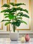 Yapay Ağaç Monstera Deve Tabanı Bitkisi 24 Yaprak 80 cm Plastik Saksıda Yapay Salon Çiçeği Hediyelik 1