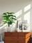 Yapay Ağaç Monstera Deve Tabanı Bitkisi 24 Yaprak 80 cm Plastik Saksıda Yapay Salon Çiçeği Hediyelik 3