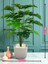 Yapay Ağaç Monstera Deve Tabanı Bitkisi 24 Yaprak 80 cm Plastik Saksıda Yapay Salon Çiçeği Hediyelik 4