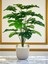 Yapay Ağaç Monstera Deve Tabanı Bitkisi 24 Yaprak 80 cm Plastik Saksıda Yapay Salon Çiçeği Hediyelik 7