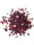 Hibisküs Çayı ( Nar Çiçeği) 500 gr 1