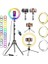 10 Inç 26 cm Rgb Işıklı Tripod Çok Renkl LED 210 cm Tripot Youtube Tiktok Işığı ve Bluetooth Kumanda 1