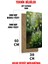 Doğa Manzaralı Orman ve Çiçek Desenli Uv Baskı Mdf Tablo Saat 30X60 cm – USD187 7