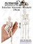 Iskelet Maketi 20 cm 1 Adet Eğitim Insan Iskelet Modeli Iskelet Sistemi Haraketli Iskelet Anatomisi Masaüstü Taşınabilir 1