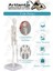 Iskelet Maketi 20 cm 1 Adet Eğitim Insan Iskelet Modeli Iskelet Sistemi Haraketli Iskelet Anatomisi Masaüstü Taşınabilir 3