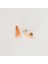Snail Çelik Küpe Oranj 2