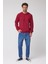 Erkek Bordo Standart Fit Normal Kesim Pamuklu Basic Bisiklet Yaka Sweatshirt 5