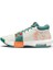 Unisex Basketbol Ayakkabısı FB2239-101 Çok Renkli Lebron Witness 8 2