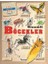 gizemleri öğrenelim - böcekler 1