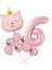 Pembe Kedi Yaş Balonlu Balon Set 1