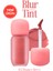 Blur Efekti Veren, Kadife Bitişli, Dolgunlaştırıcı Tint Clıo Volumate Blur Tint 102 Bouncy Berry 1