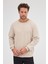 Erkek Bej Standart Fit Normal Kesim Pamuklu Basic Bisiklet Yaka Sweatshirt 2