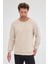 Erkek Bej Standart Fit Normal Kesim Pamuklu Basic Bisiklet Yaka Sweatshirt 5