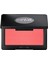 Artist Face Powders - Allık B310 Playful Coral (4g) 1