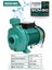 2 Hp Scm 80 Elektrikli Su Pompası Su Motoru 2 Inc Scm 1