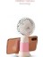 Mini Fan Şarjlı Taşınabilir El Vantilatörü 5W Güçlü Meyve Figürlü USB Mini Fan 3