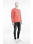 Erkek Regular Fit 3 Iplik Enjeksiyon Baskı Bisiklet Yaka Sweatshirt 4